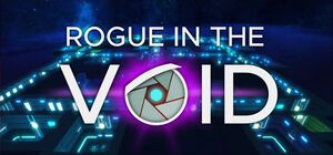 Rogue in the Void cover