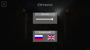 In-game general options.