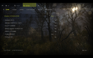 In-game game settings.