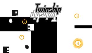 Twinship cover