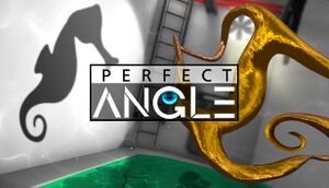 Perfect Angle cover