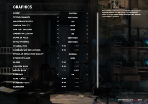 In-game graphics settings (Steam version).