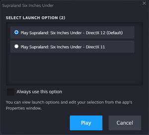 DirectX version selection (Steam)