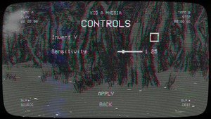 Controller settings.