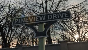 Pineview Drive cover