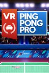 VR Ping Pong Pro cover.jpg