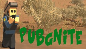 PUBGNite cover