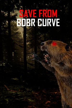 Save from Bobr Curve cover