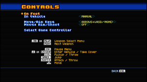 In-game control settings (for keyboard).