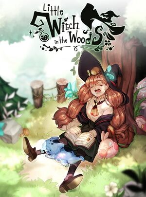 Little Witch in the Woods cover