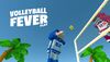 Volleyball Fever Flat cover.jpg