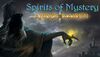 Spirits of Mystery Amber Maiden Collector's Edition cover.jpg