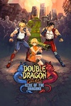 Double Dragon Gaiden cover.jpg