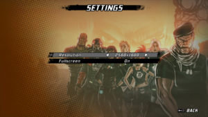In-game display settings.