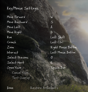 In-game keyboard settings.