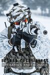Beyond Enemy Lines Operation Arctic Hawk cover.jpg