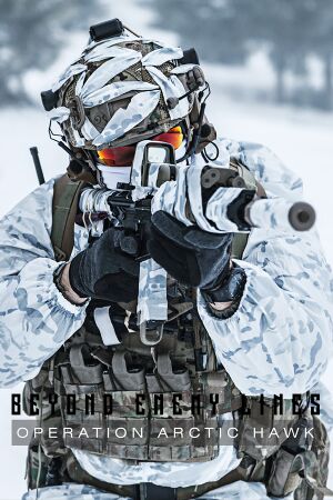 Beyond Enemy Lines: Operation Arctic Hawk cover