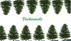 Vickinachi cover