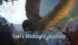 Owl's Midnight Journey cover