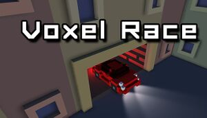 Voxel Race cover
