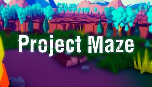 Project Maze cover