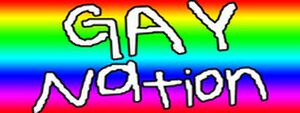 Gay Nation cover