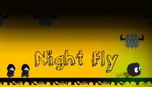 Night Fly cover