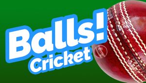 Balls! Virtual Reality Cricket cover