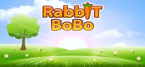 Rabbit BoBo cover