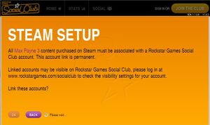 Steam and Rockstar Games Social Club online key verification on launch.
