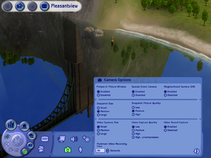 sims 2 troubleshooting