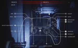 In-game Controller Settings (Playstation)