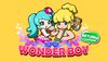 Wonder Boy Returns cover.jpg