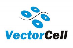 Company - VectorCell.jpg