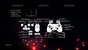 In-game controls settings.