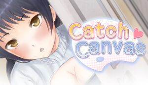 Catch Canvas cover
