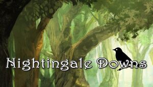 Nightingale Downs cover
