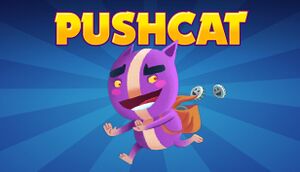 Pushcat cover