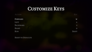 In-game key customization menu.