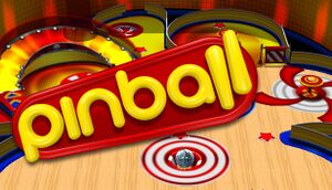 Pinball cover