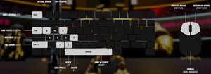 Keyboard & Mouse Controls
