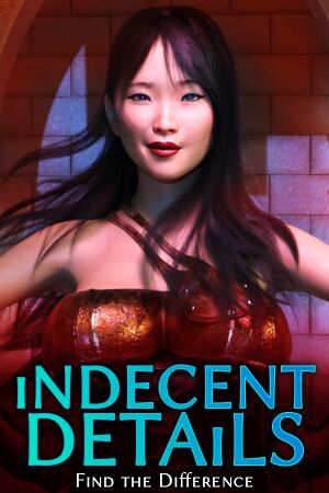 Indecent Details - Find the Difference cover