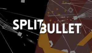 Split Bullet cover