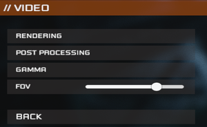 In-game FOV settings.
