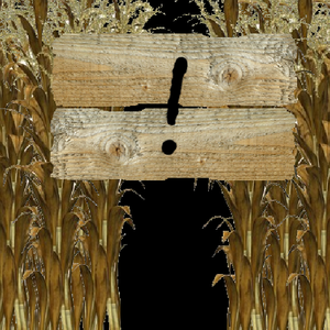 Corn Maze cover