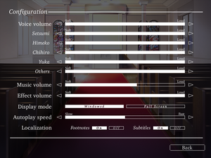 General settings for Steam version of the game.
