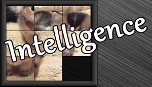 Intelligence cover