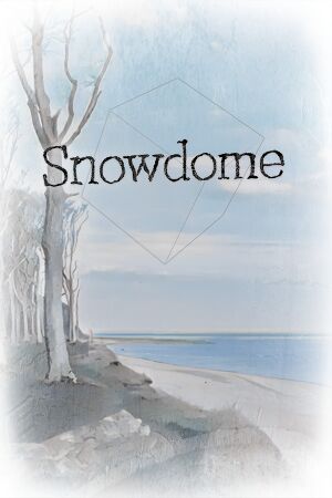 Snowdome cover