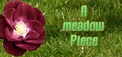 A meadow Piece cover.jpg