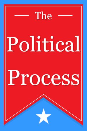 The Political Process cover